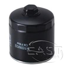 Fuel Filter H10W02 - 1