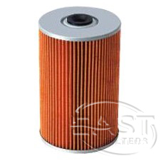 Fuel Filter S1560-71562