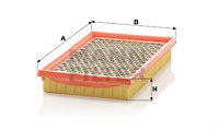Air Filters C 2552/2